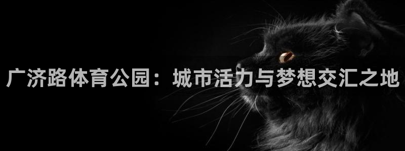 广济路体育公园：城市活力与梦想交汇之地