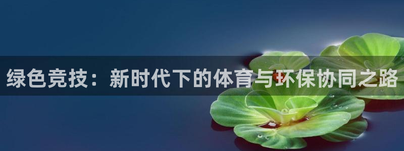 绿色竞技：新时代下的体育与环保协同之路