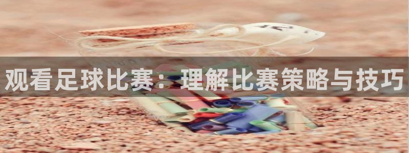 观看足球比赛：理解比赛策略与技巧