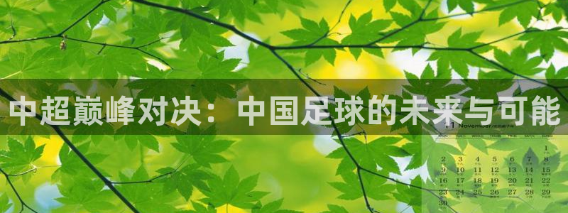 中超巅峰对决：中国足球的未来与可能